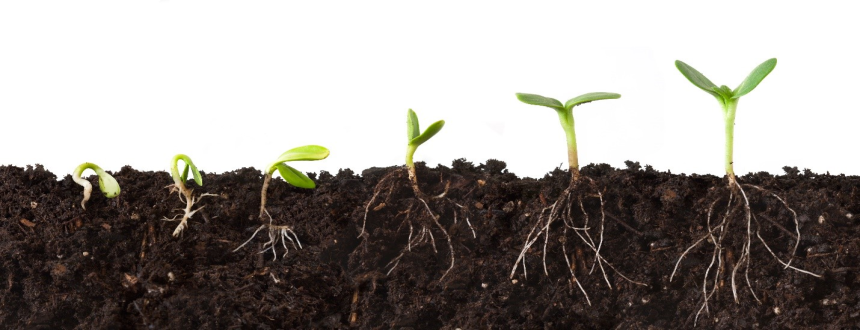 Healthy Soil Alliance